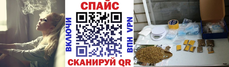 Купить  Судак  Бутират буратино 