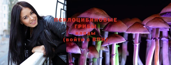 спиды Горно-Алтайск