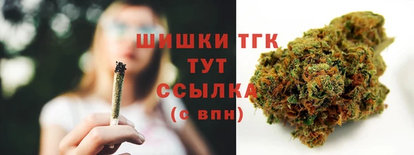 спиды Горно-Алтайск