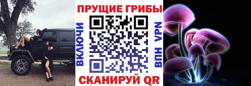 Галлюциногенные грибы Magic Shrooms  Купить где  Судак 