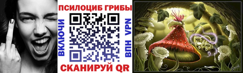 Галлюциногенные грибы прущие грибы Судак